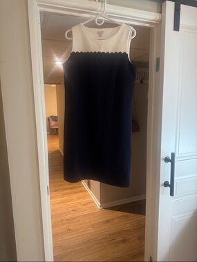 Classic Navy and White Sleeveless Sheath Dress